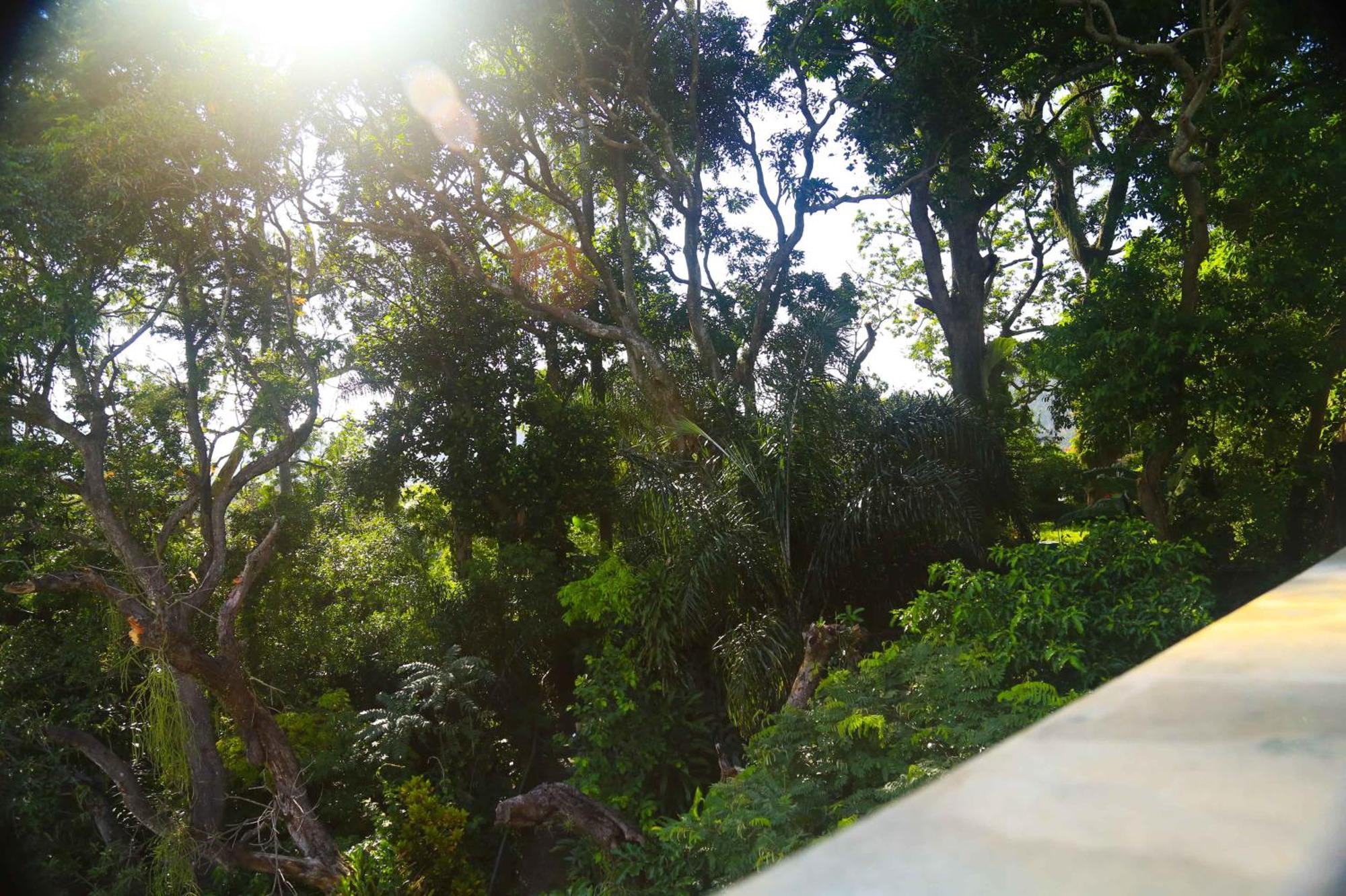 Blue Hill Casa de hóspedes Rio de Janeiro